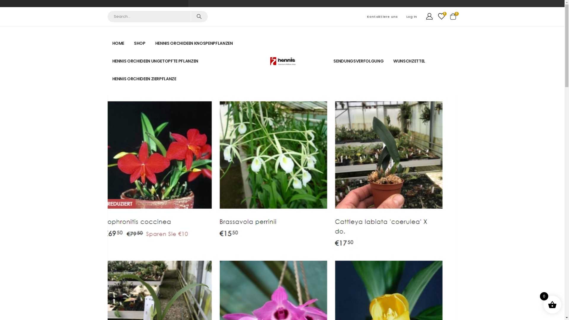 Wo kaufst du ein? Orchideen kaufen - Wunderschöne Orchideen online bestellen.– Hennis Orchideen.